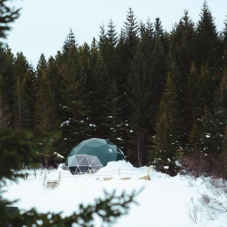 塞尔福斯 Golden Circle Domes - Glamping Experience酒店 外观 照片