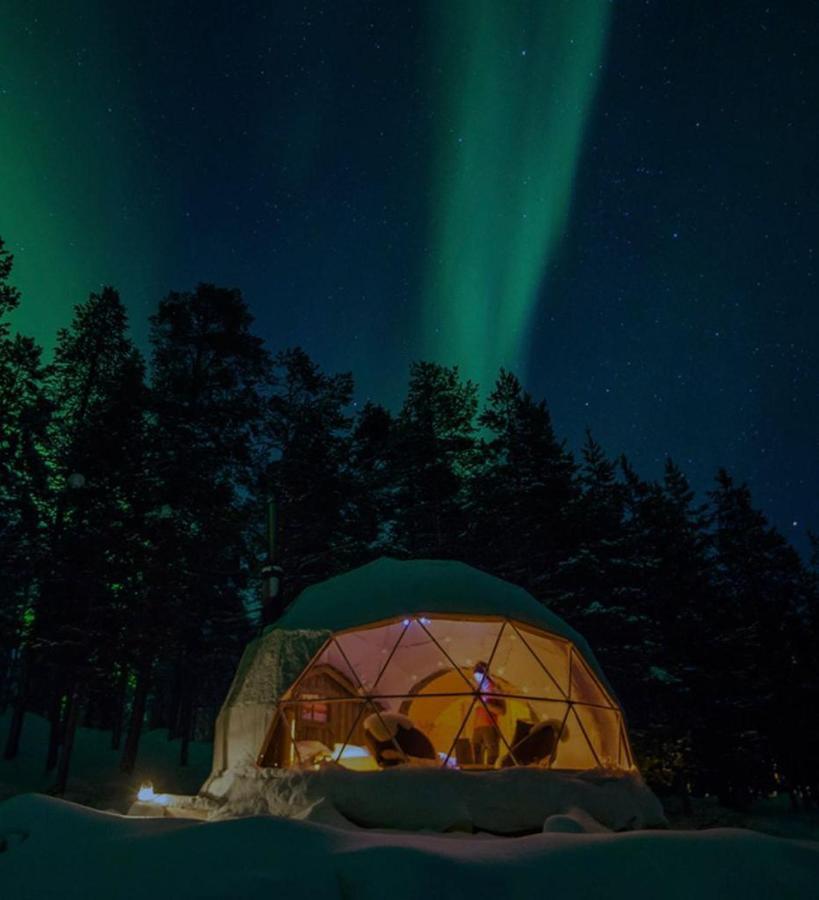塞尔福斯 Golden Circle Domes - Glamping Experience酒店 外观 照片