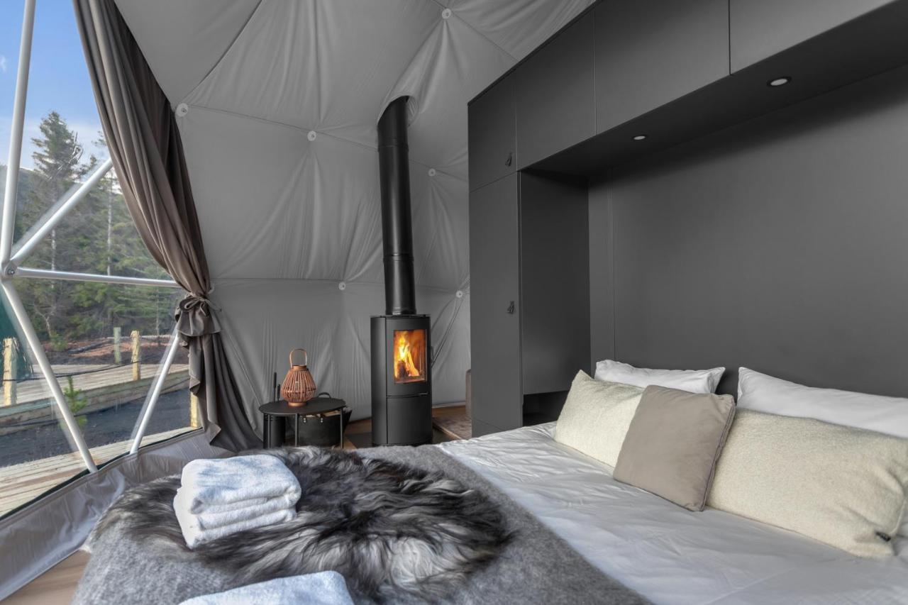 塞尔福斯 Golden Circle Domes - Glamping Experience酒店 外观 照片