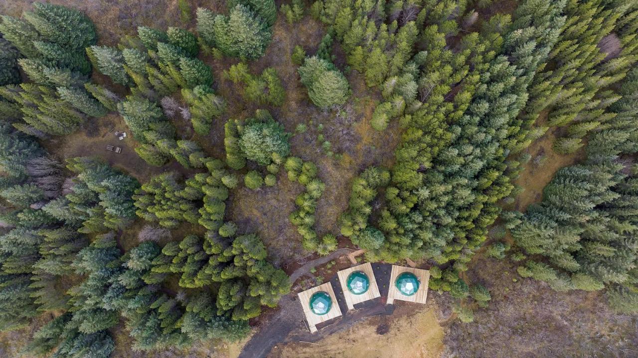 塞尔福斯 Golden Circle Domes - Glamping Experience酒店 外观 照片