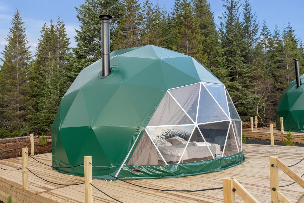 塞尔福斯 Golden Circle Domes - Glamping Experience酒店 外观 照片