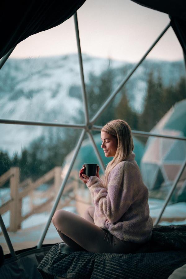 塞尔福斯 Golden Circle Domes - Glamping Experience酒店 外观 照片
