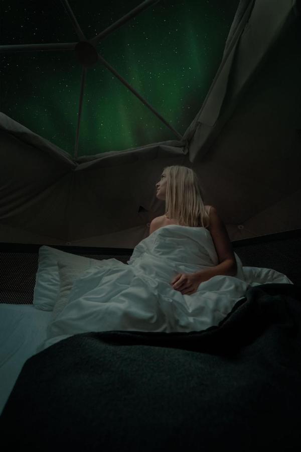 塞尔福斯 Golden Circle Domes - Glamping Experience酒店 外观 照片