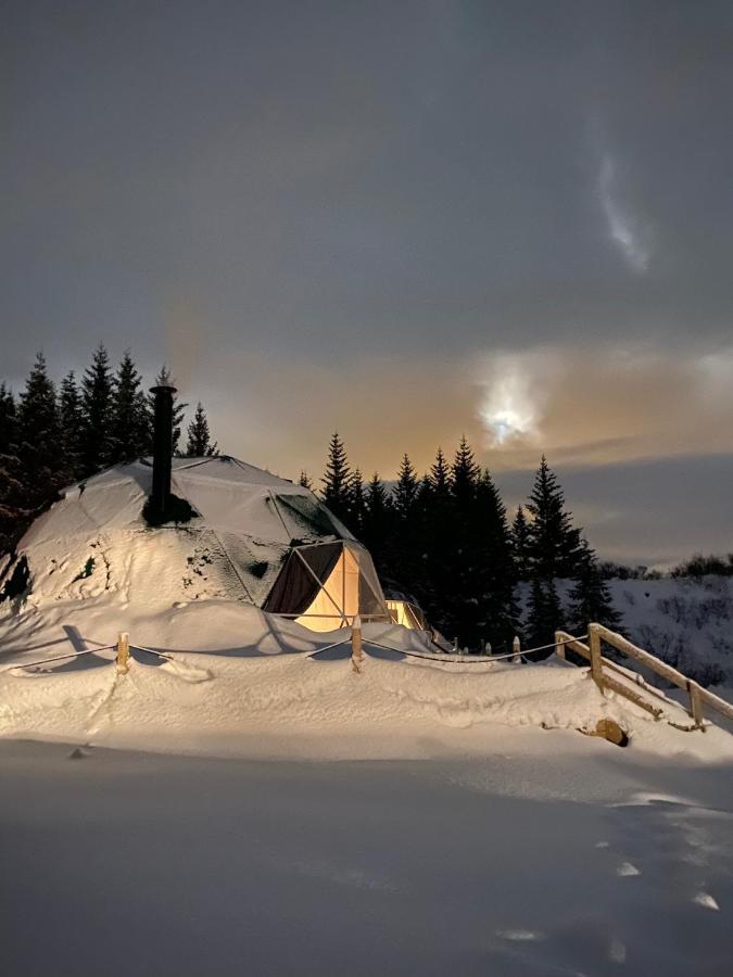 塞尔福斯 Golden Circle Domes - Glamping Experience酒店 外观 照片