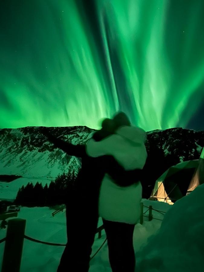 塞尔福斯 Golden Circle Domes - Glamping Experience酒店 外观 照片