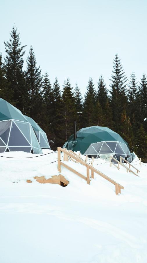 塞尔福斯 Golden Circle Domes - Glamping Experience酒店 外观 照片