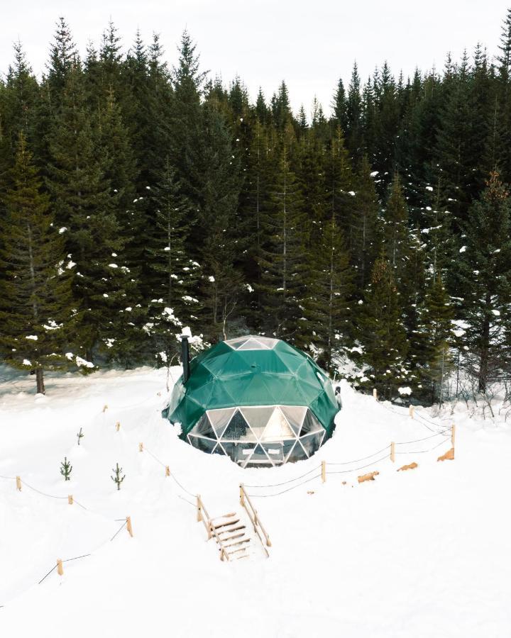 塞尔福斯 Golden Circle Domes - Glamping Experience酒店 外观 照片