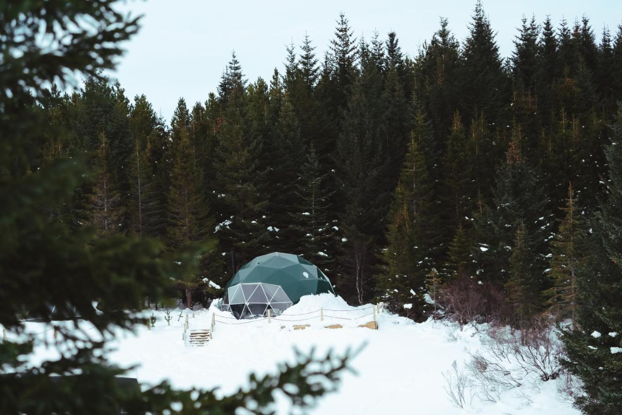 塞尔福斯 Golden Circle Domes - Glamping Experience酒店 外观 照片