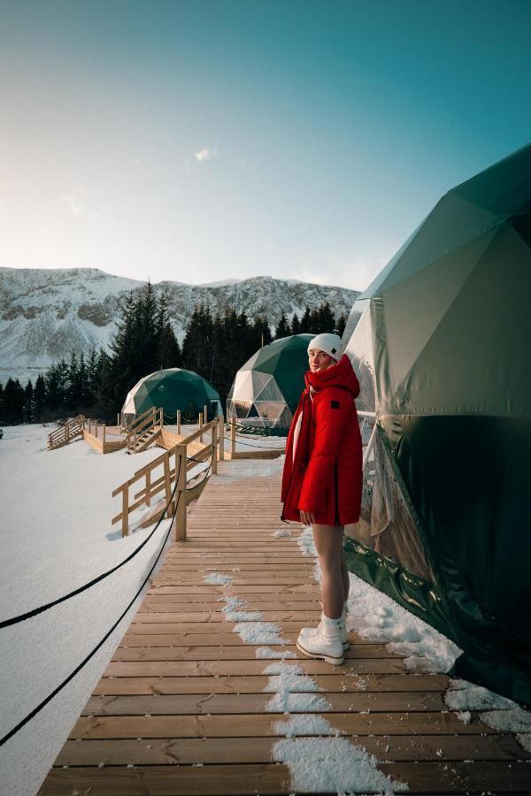 塞尔福斯 Golden Circle Domes - Glamping Experience酒店 外观 照片