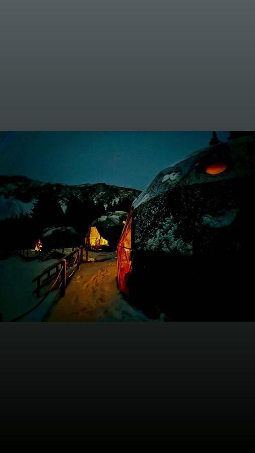 塞尔福斯 Golden Circle Domes - Glamping Experience酒店 外观 照片