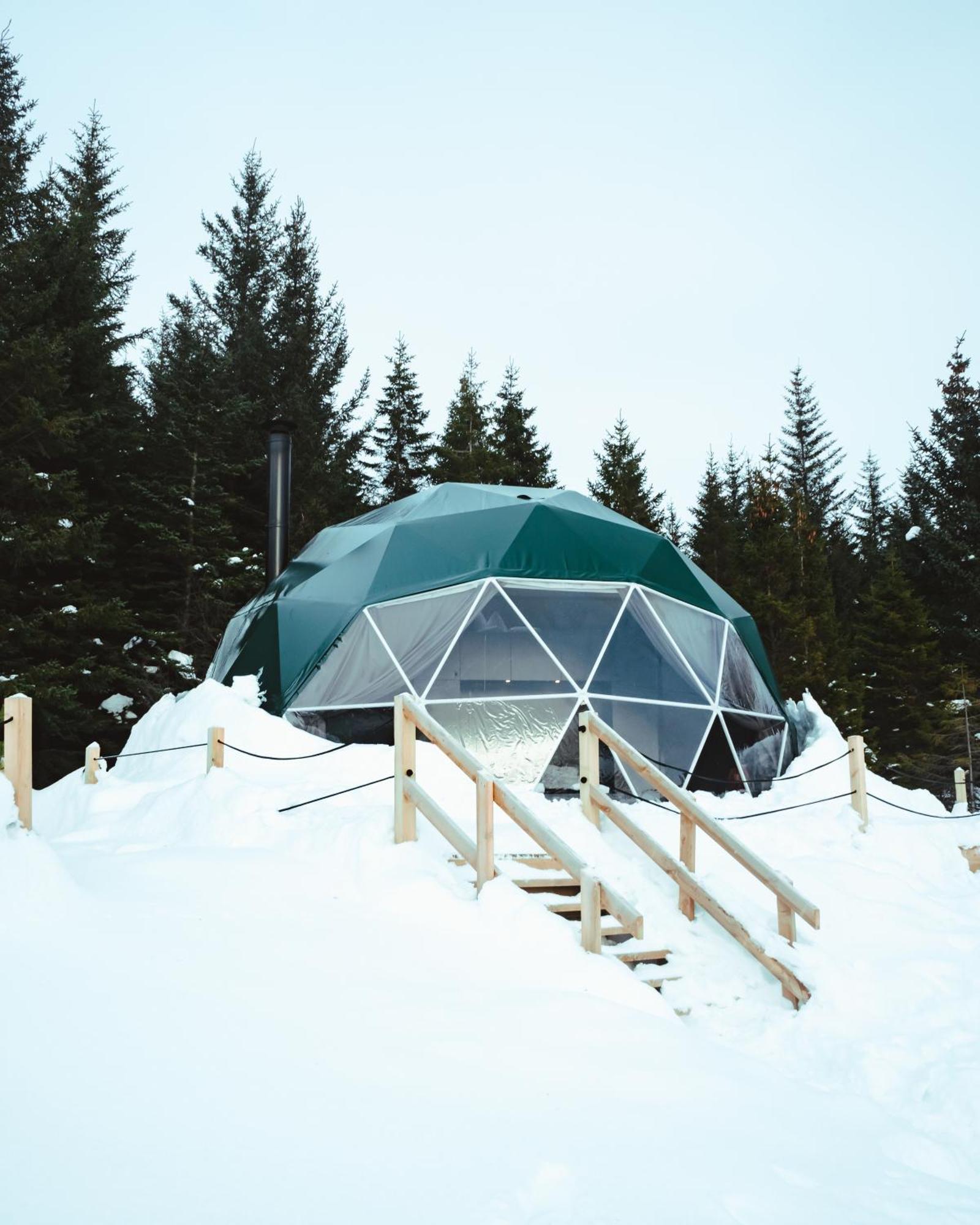 塞尔福斯 Golden Circle Domes - Glamping Experience酒店 外观 照片