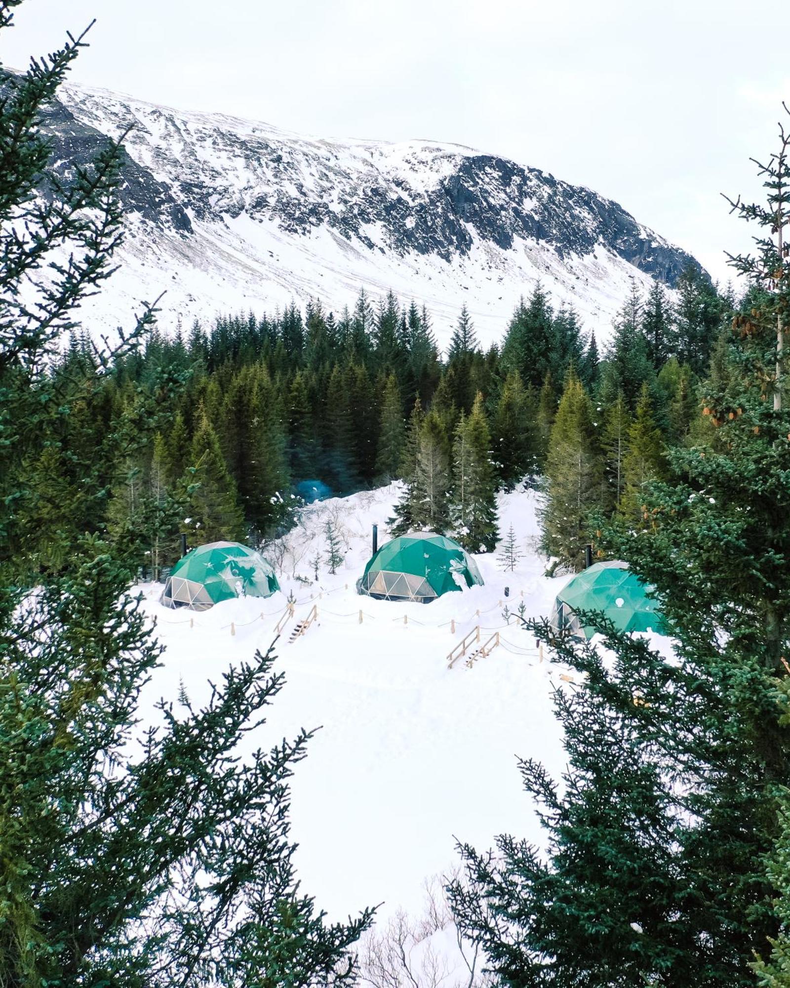 塞尔福斯 Golden Circle Domes - Glamping Experience酒店 外观 照片