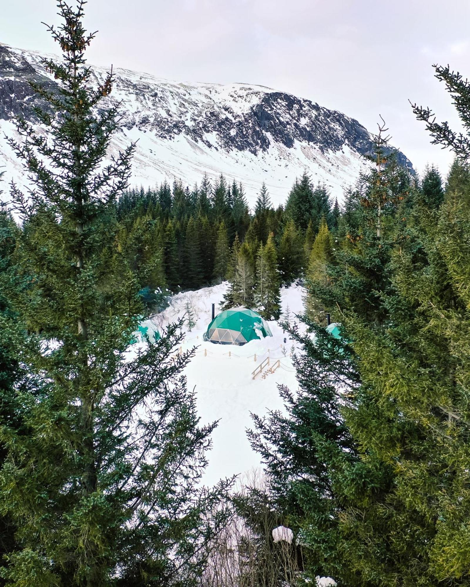 塞尔福斯 Golden Circle Domes - Glamping Experience酒店 外观 照片